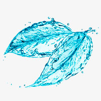 Die Quelle des Lebens