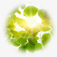 Licht für die Seele