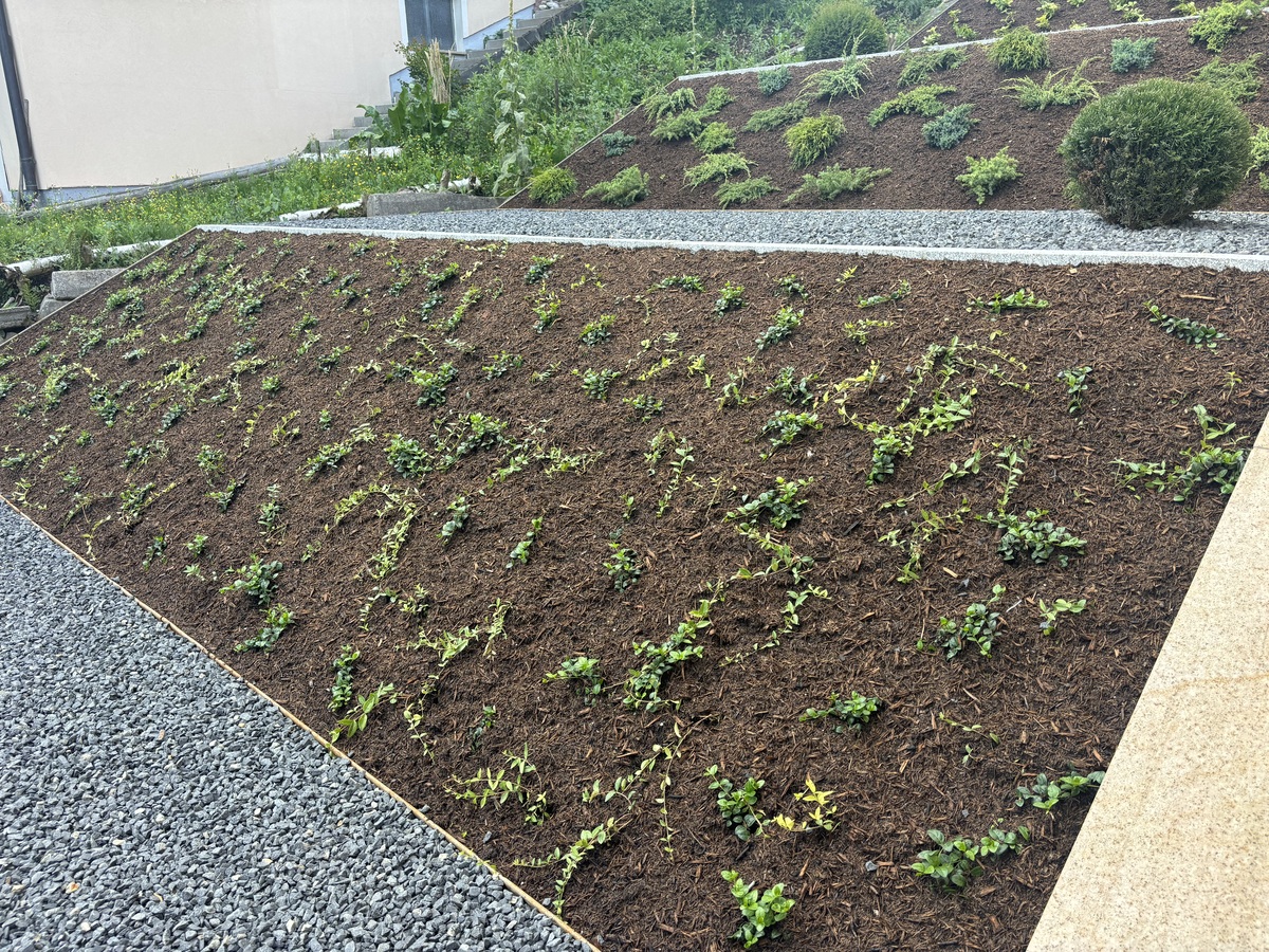 Projektbild 7