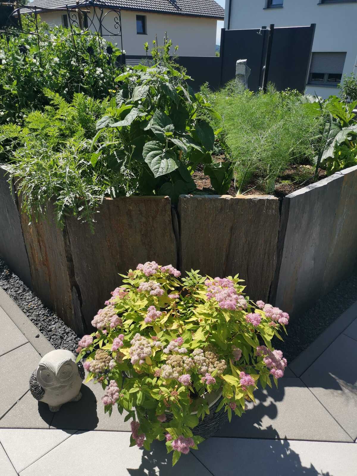Projektbild 35