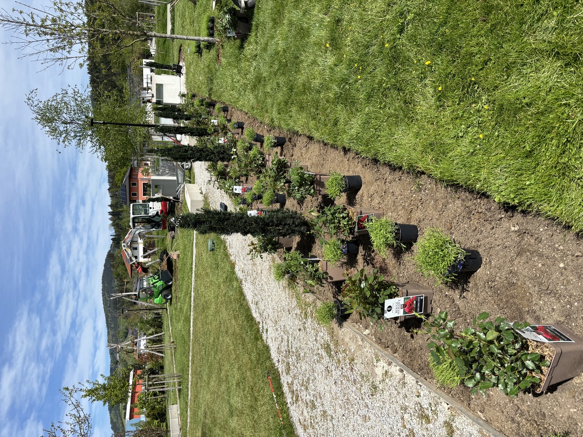 Projektbild 35