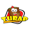 Turap Wels in Wels