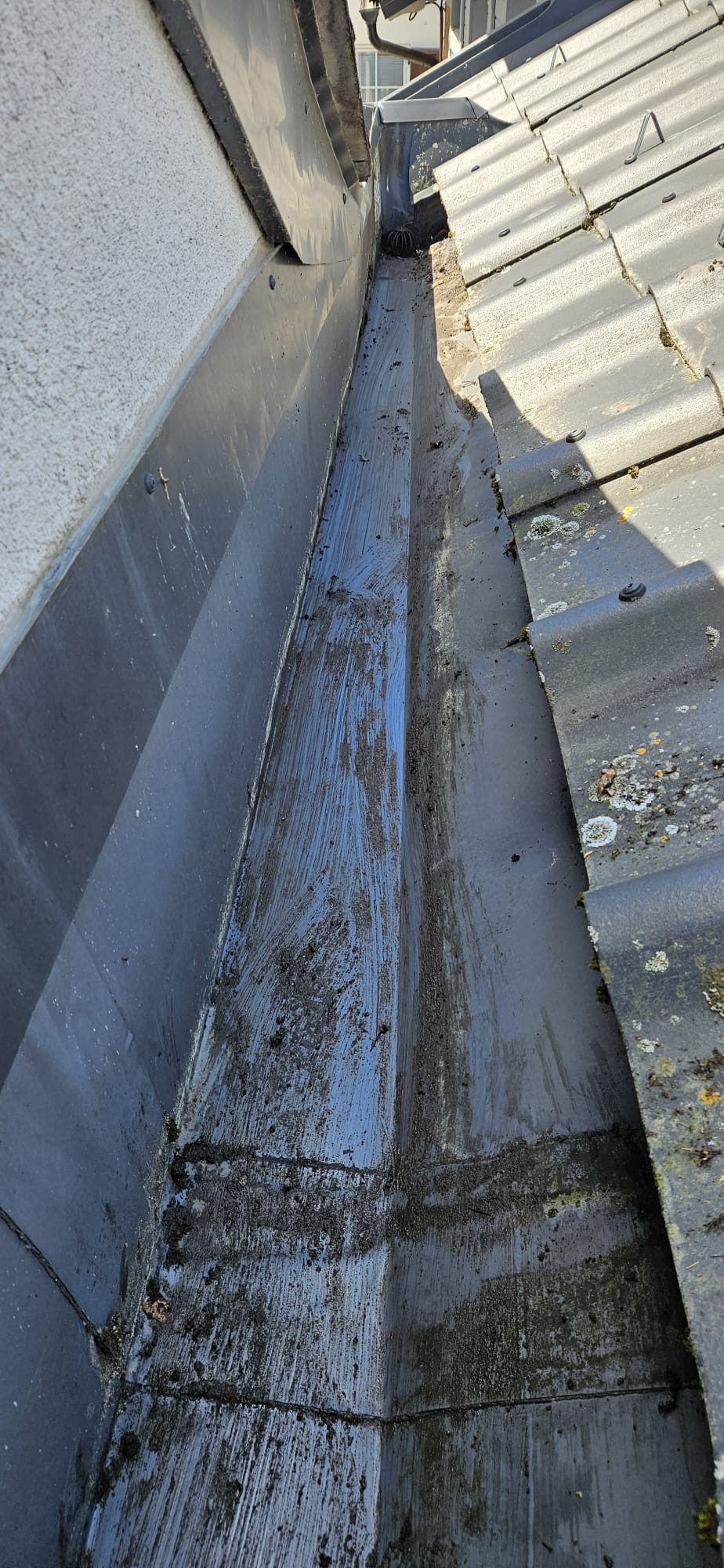 Dachreinigung